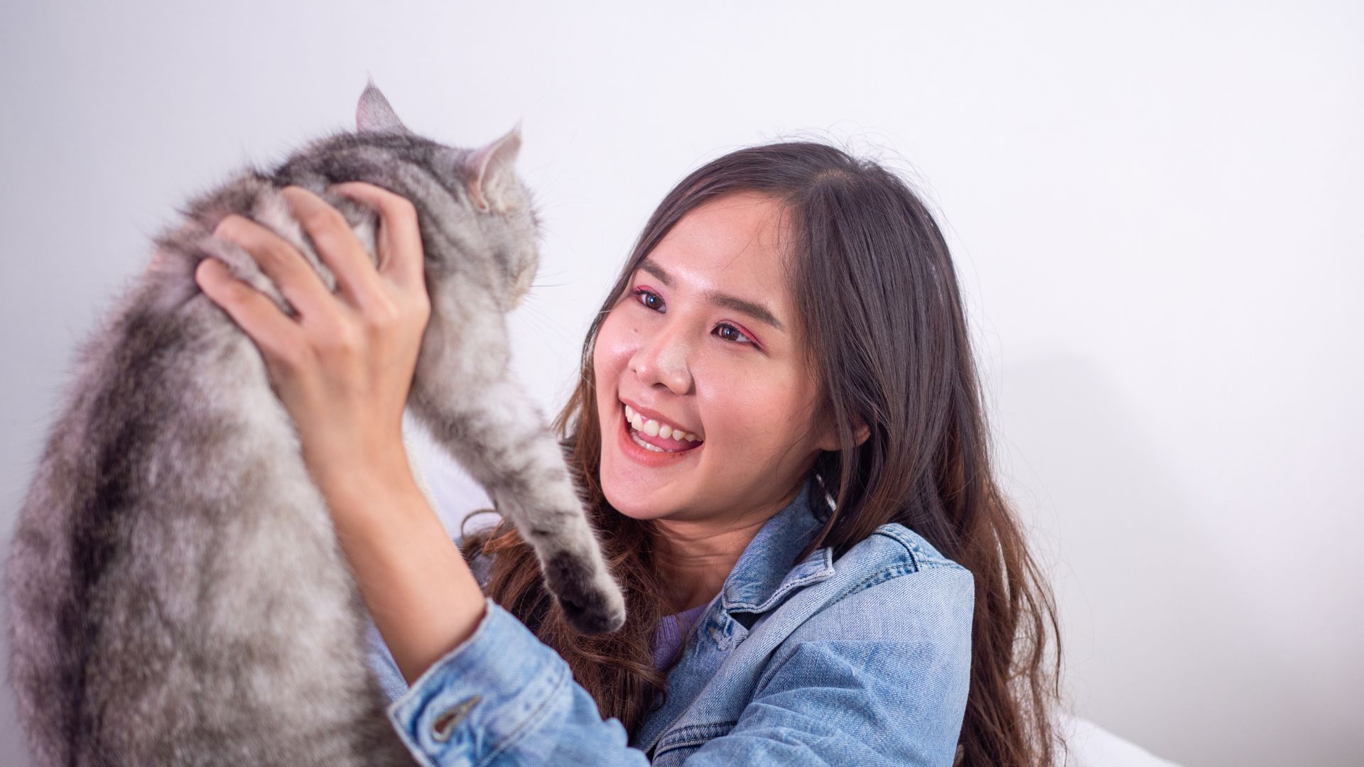 Complete guide Choosing The Best Pet For You